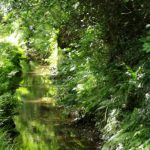 St Austell stream