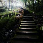 Steps in a woodland leading from darkness to light at the top.